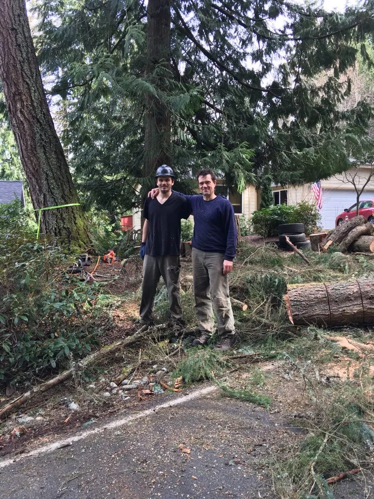 Reliable landscaping services in Deming, WA - Rich Ternan Tree Service