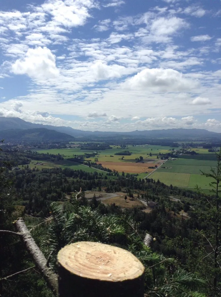 Expert lawn mowing service in Deming, WA by Rich Ternan Tree Service