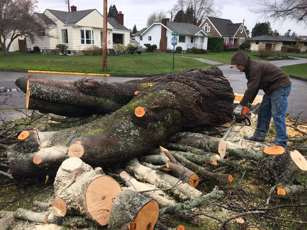 Top-rated garden landscaping experts serving Deming, WA - Rich Ternan Tree Service