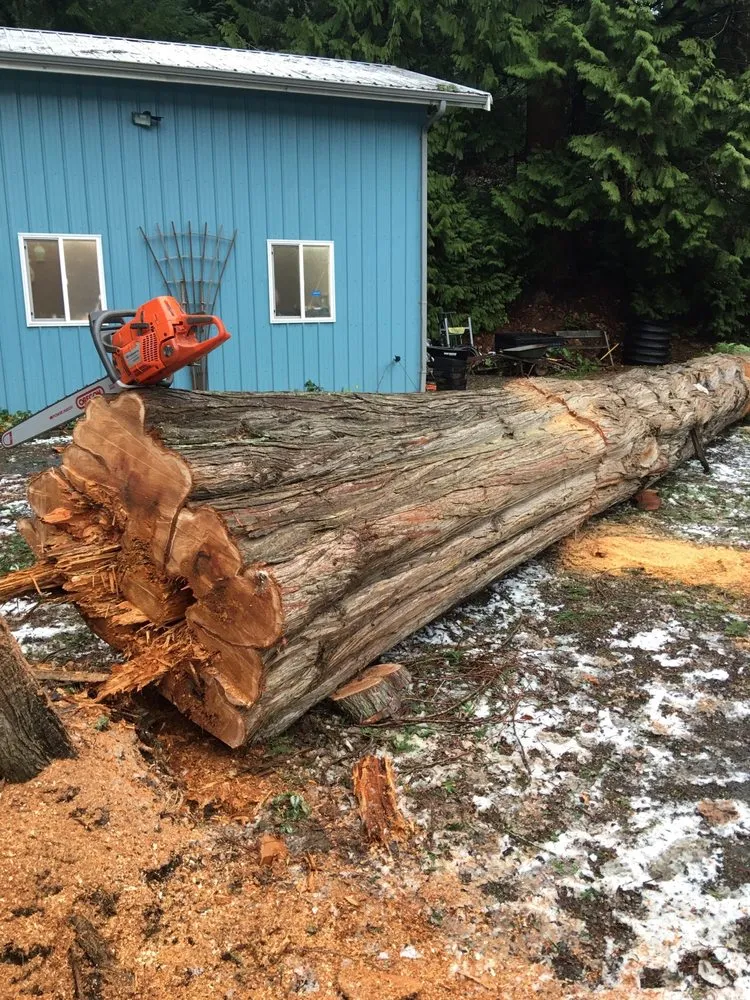 Expert lawn care service for residential properties in Deming, WA by Rich Ternan Tree Service