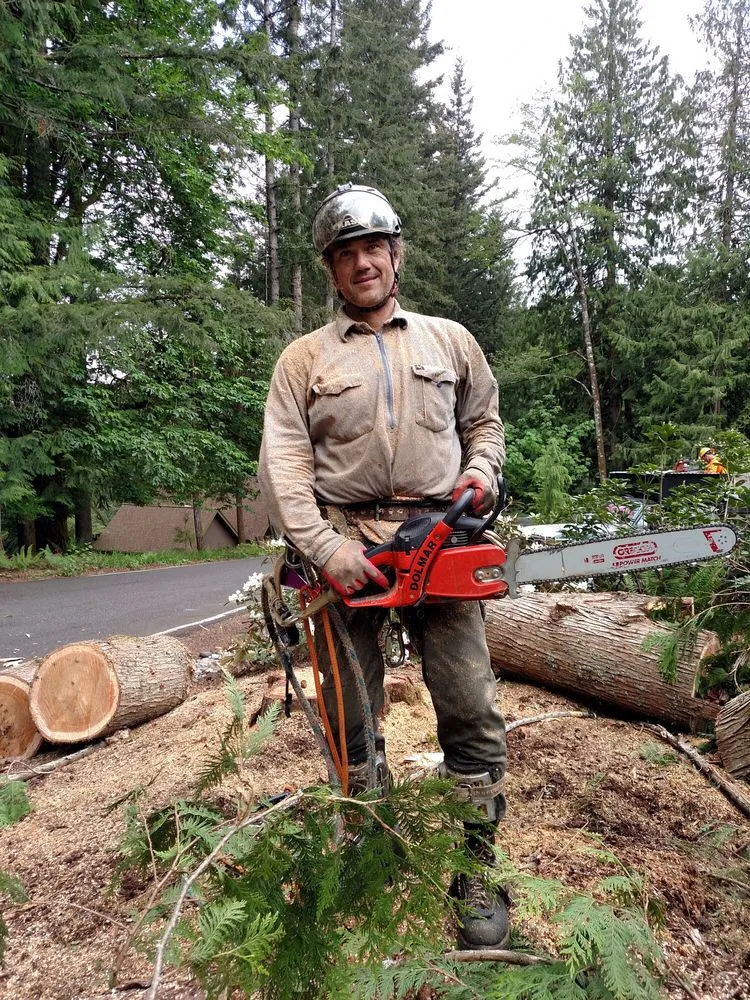 Custom residential landscaping experts serving Deming, WA - Rich Ternan Tree Service