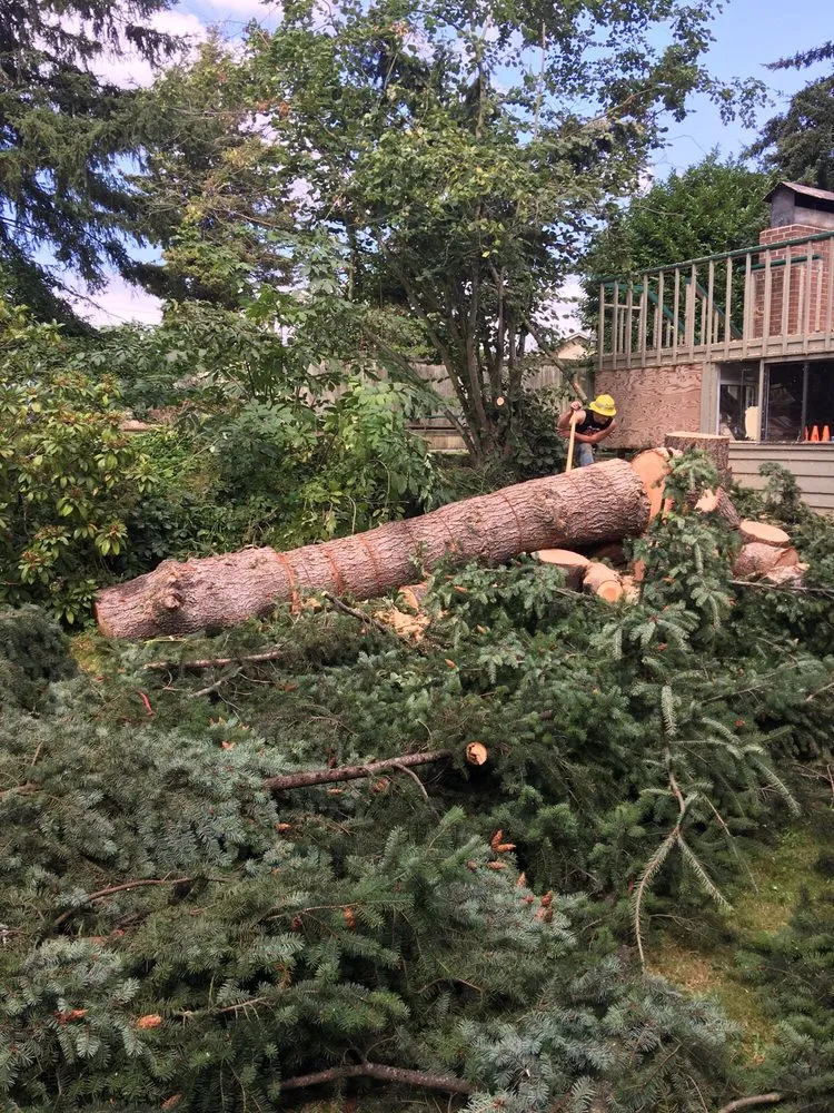 Reliable outdoor landscaping for beautiful yards across Deming, WA - Rich Ternan Tree Service