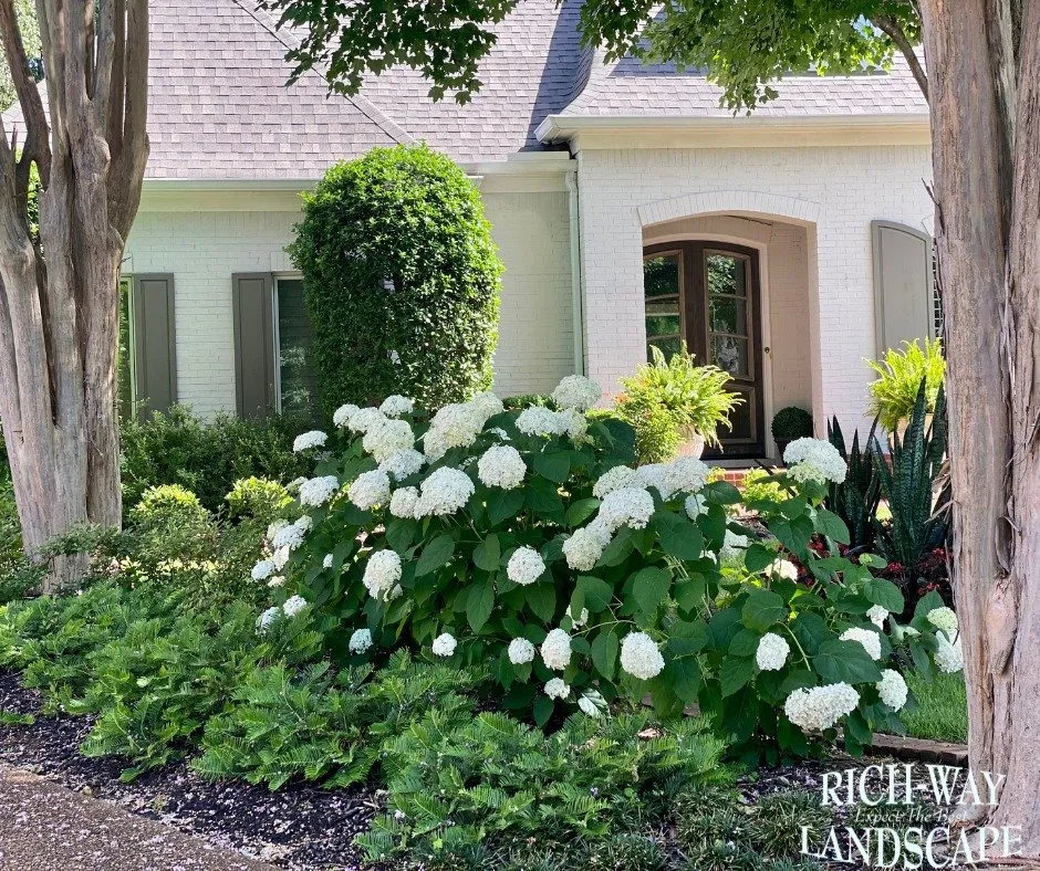 Top-rated garden landscaping near you across Collierville, TN - Rich-Way Landscape