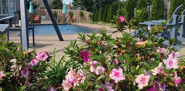 Reliable lawn mowing service experts serving Collierville, TN - Rich-Way Landscape