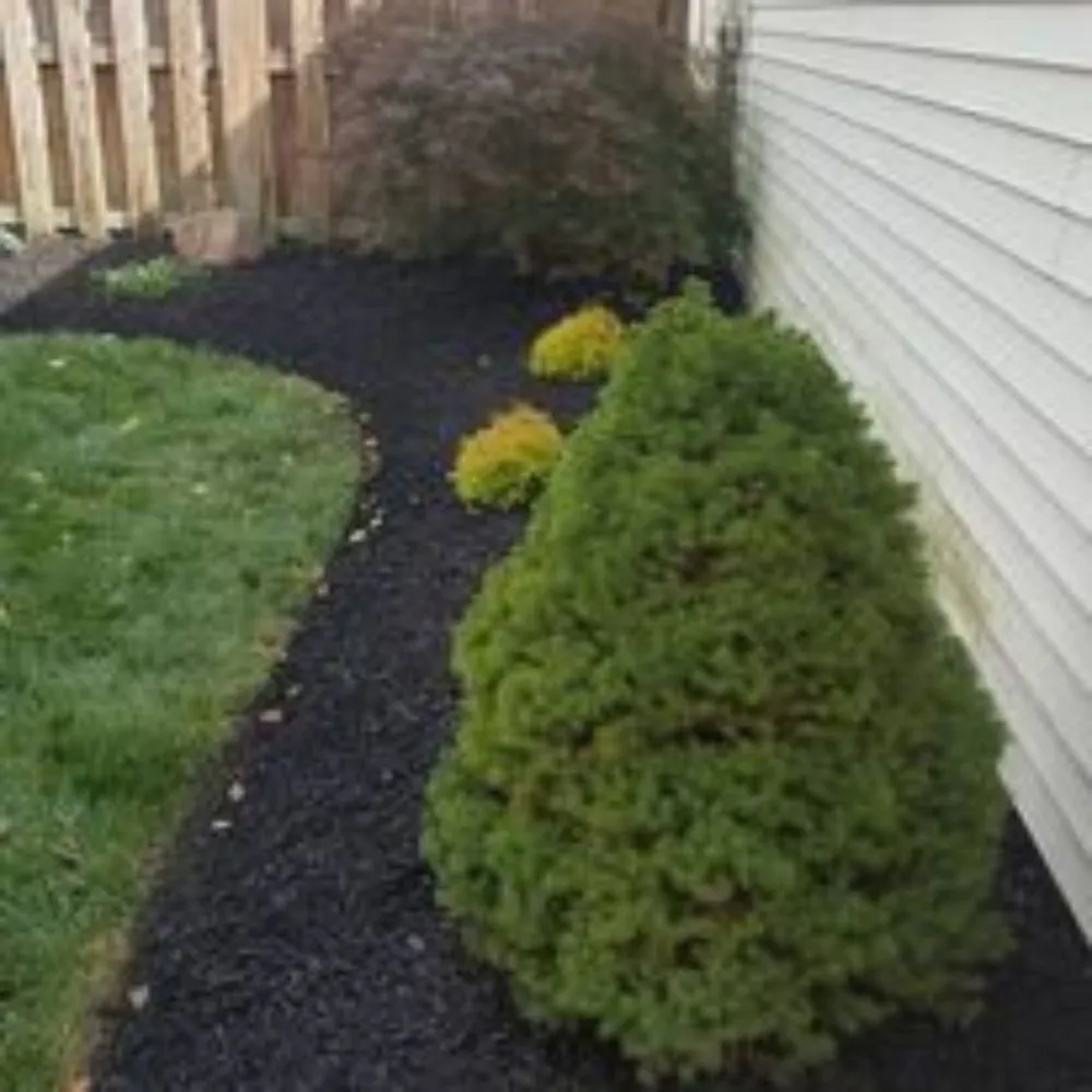 Professional yard cleanup service for residential properties across Elyria, OH - Richard & Son Landscaping