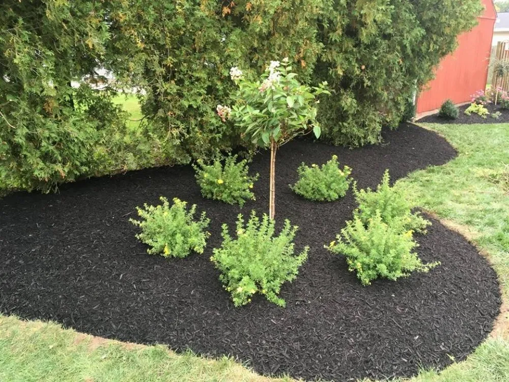 Custom landscaping services for beautiful yards across Elyria, OH - Richard & Son Landscaping