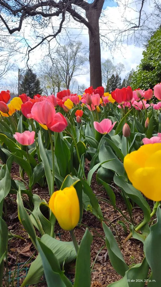 Expert residential landscaping for year-round maintenance in Yonkers, NY by Richard A&M Landscaping