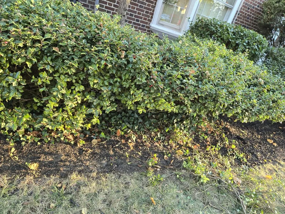 Trusted yard maintenance near you in Yonkers, NY by Richard A&M Landscaping