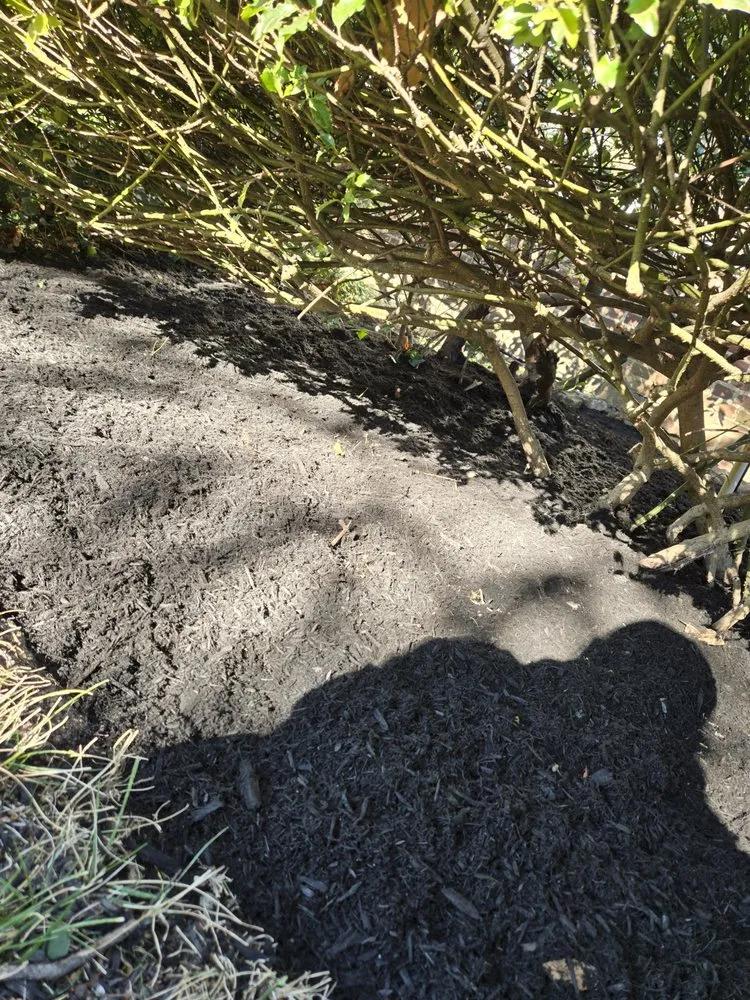 Professional landscaping services in Yonkers, NY by Richard A&M Landscaping