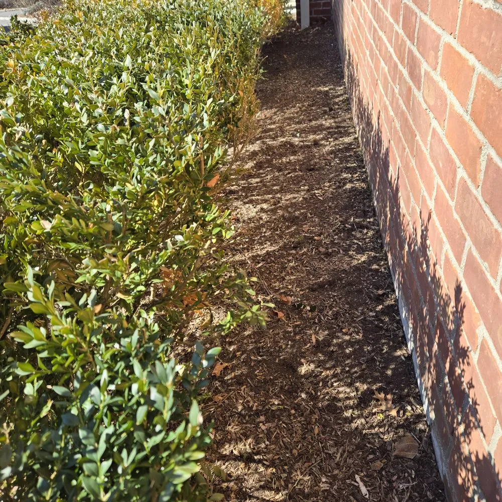 Top-rated landscaping services experts serving Yonkers, NY - Richard A&M Landscaping