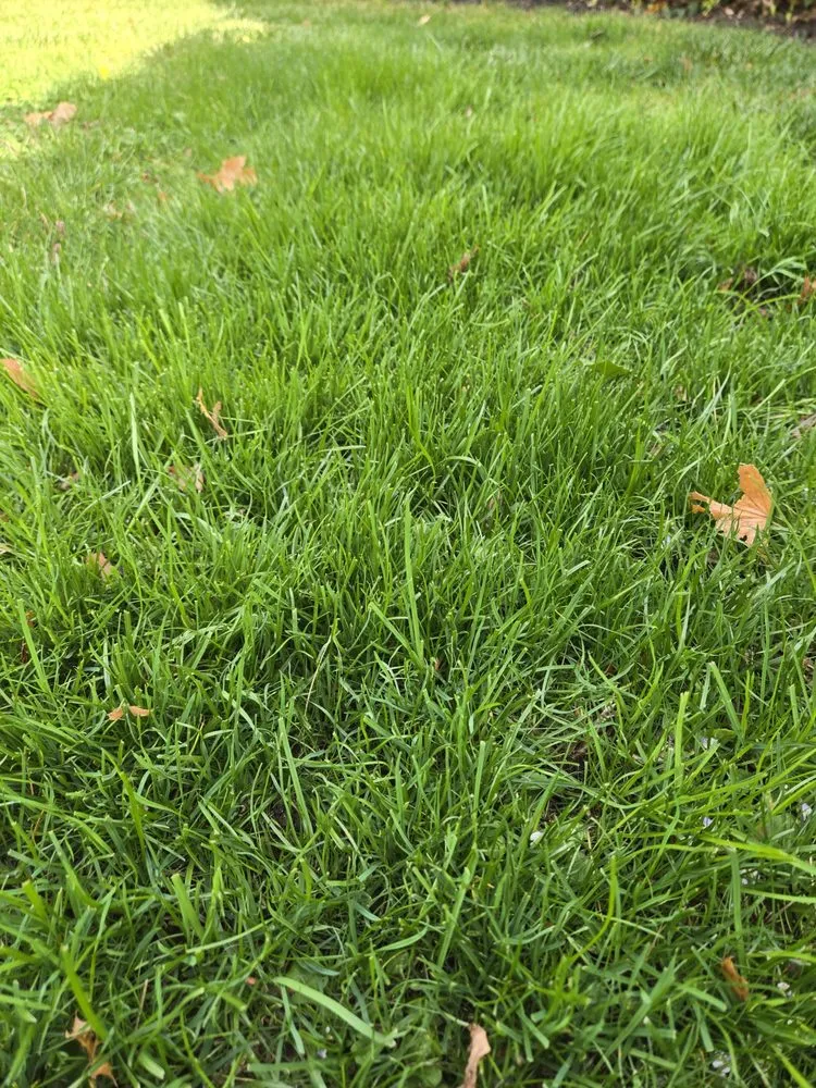 Reliable landscape installation for homes in Yonkers, NY by Richard A&M Landscaping