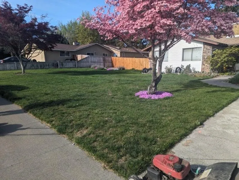 Trusted outdoor landscaping in Kennewick, WA - Richard and Sons Lawn Maintenance