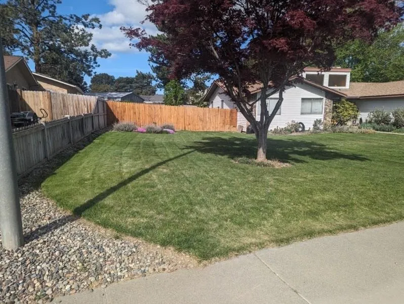 Expert yard cleanup service in Kennewick, WA - Richard and Sons Lawn Maintenance