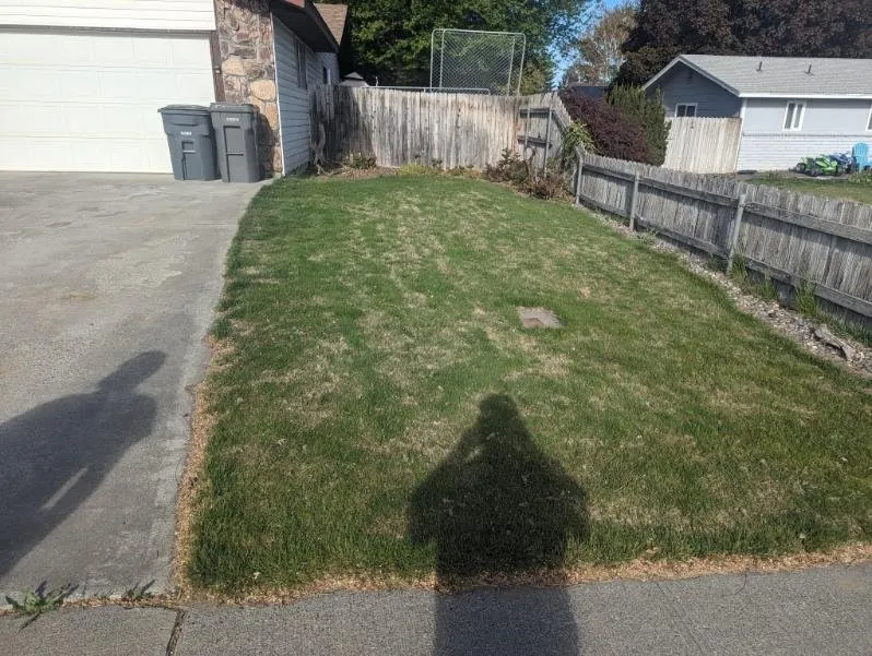Custom yard maintenance experts serving Kennewick, WA - Richard and Sons Lawn Maintenance