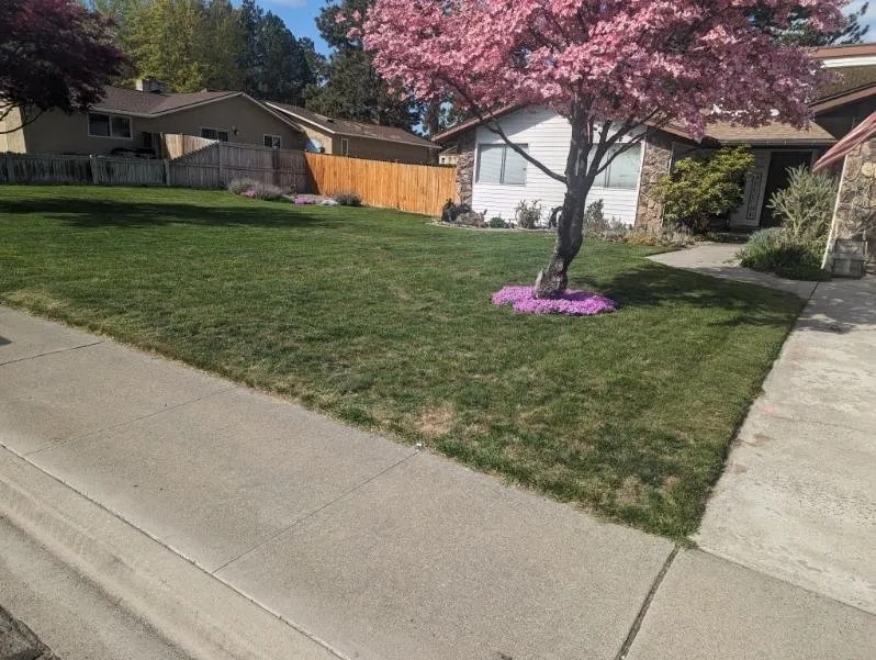 Custom yard maintenance in Kennewick, WA by Richard and Sons Lawn Maintenance