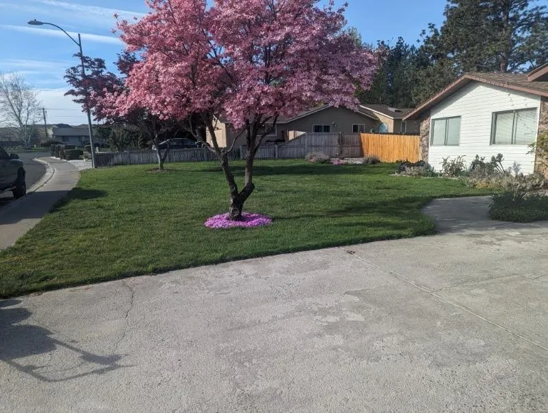 Affordable landscape installation experts serving Kennewick, WA - Richard and Sons Lawn Maintenance
