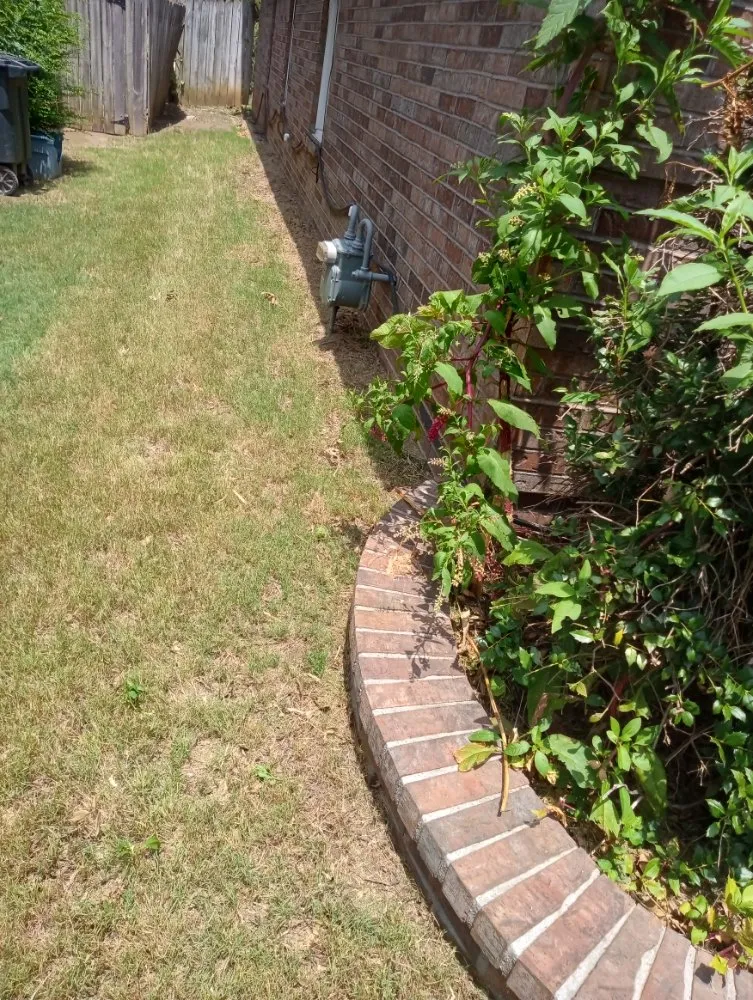 Affordable yard cleanup service for beautiful yards across Marion, AR - Richard Barnes Services