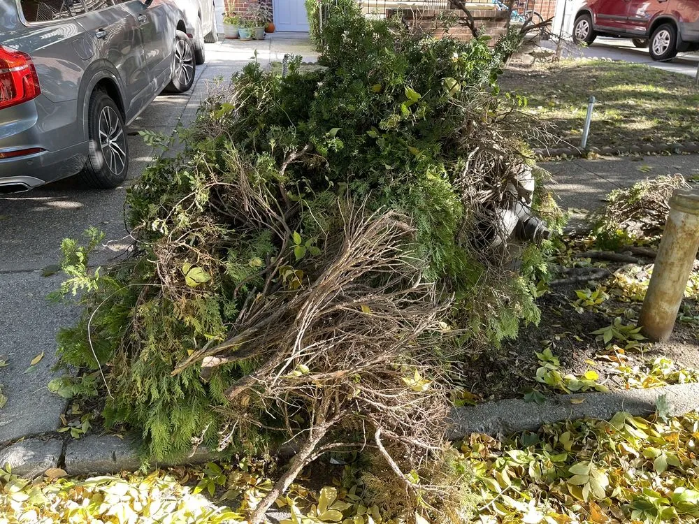 Top-rated yard maintenance in Staten Island, NY by Richard Billi Landscaping