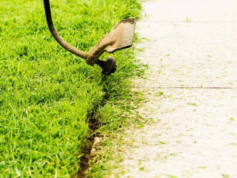 Professional residential landscaping for outdoor upgrades in Lansing, MI by Richard Hall Lawn Care