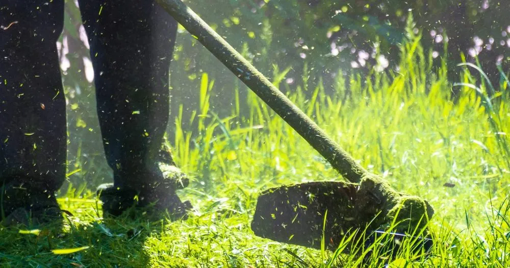 Local yard maintenance in Lansing, MI by Richard Hall Lawn Care