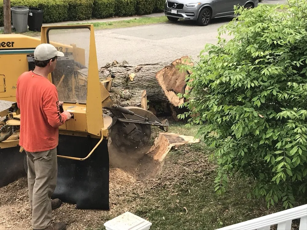 Trusted lawn care service near you across Milton, MA - Richard Hunt Landscaping