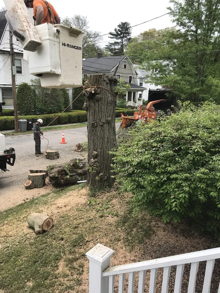 Professional lawn care service experts serving Milton, MA - Richard Hunt Landscaping