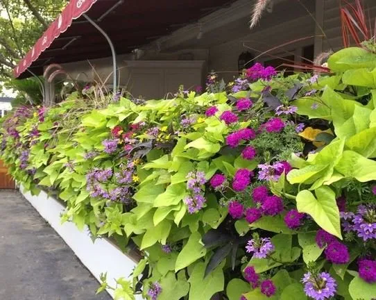 Top-rated residential landscaping experts serving Stamford, CT - Richard Jones Landscaping