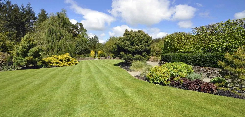 Local lawn care service near you in Stamford, CT by Richard Jones Landscaping