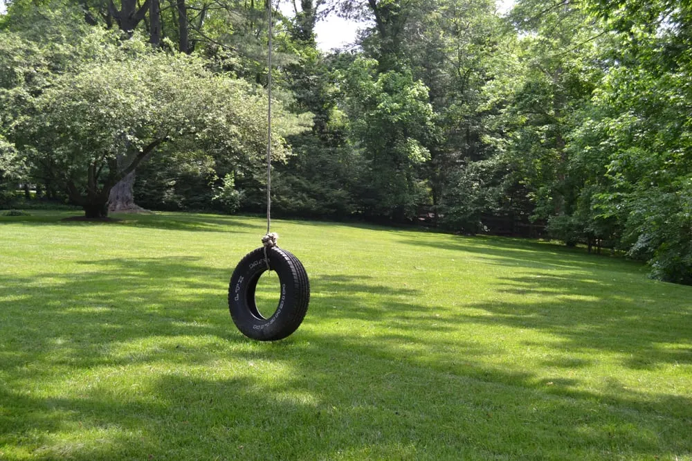 Top-rated landscaping services in Bethesda, MD by Richard Landscaping