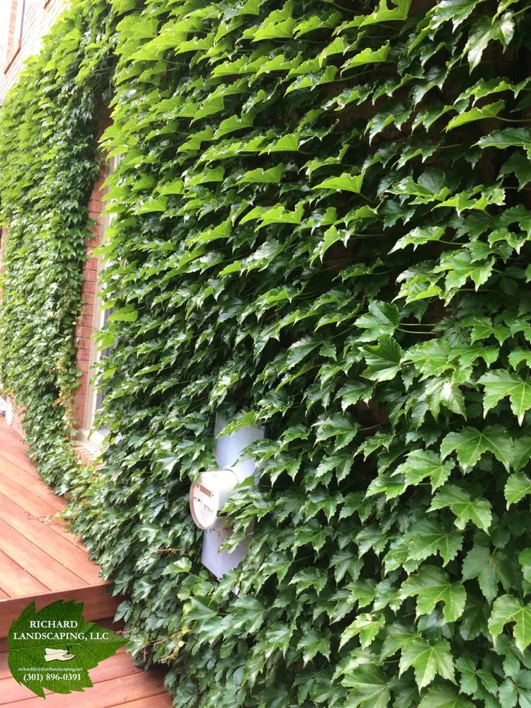 Top-rated residential landscaping experts serving Bethesda, MD - Richard Landscaping