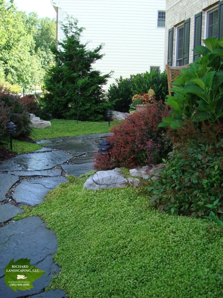 Top-rated lawn mowing service experts serving Bethesda, MD - Richard Landscaping