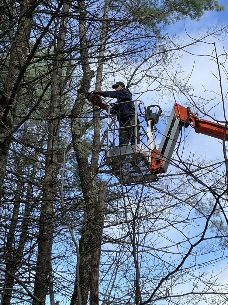 Professional yard maintenance for outdoor upgrades across New Gloucester, ME - Richard Property Services