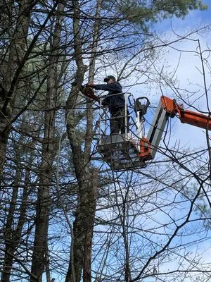 Richard Property Services