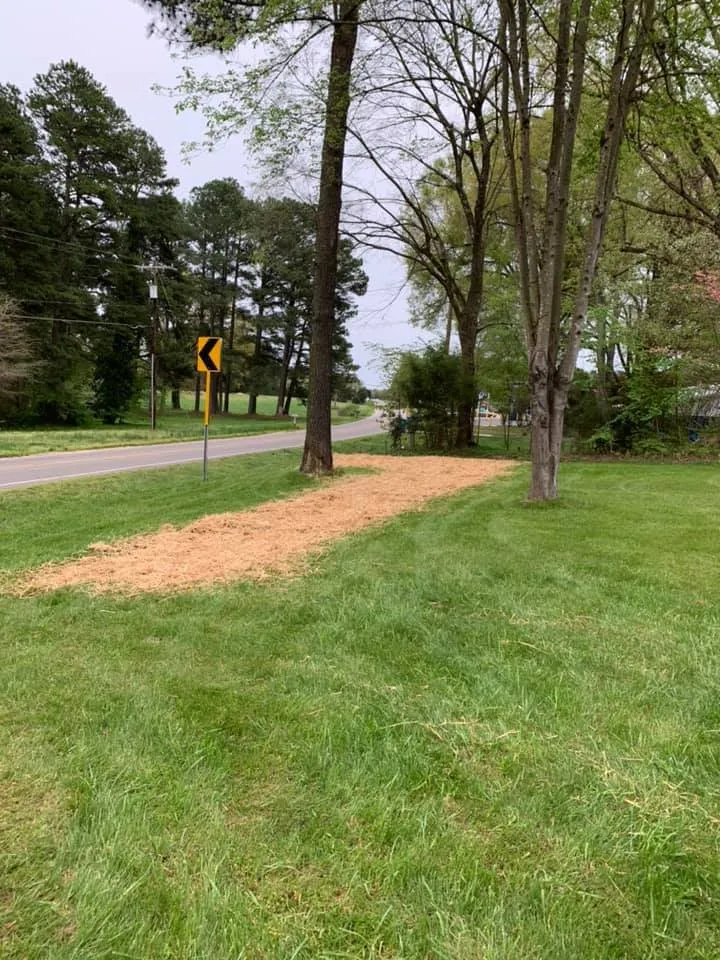 Professional yard cleanup service for outdoor upgrades across Concord, NC - Richard Raffaldt Landscaping