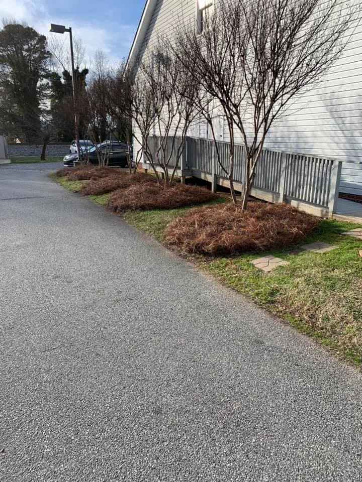 Custom landscaping services in Concord, NC by Richard Raffaldt Landscaping