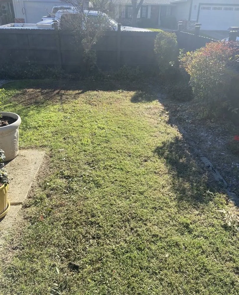 Expert landscape installation for beautiful yards across Ontario, OR - Richards Beards and Mowers landscaping