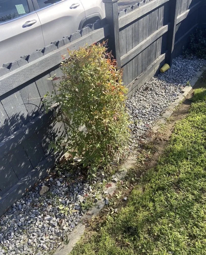 Affordable yard maintenance in Ontario, OR by Richards Beards and Mowers landscaping