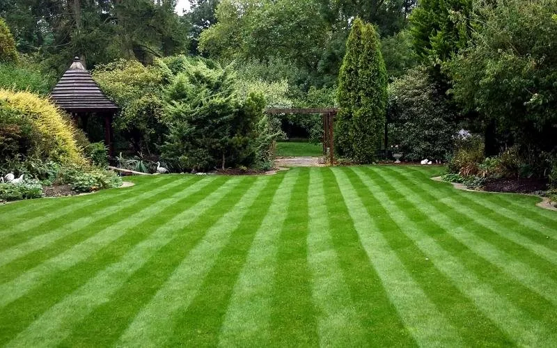 Top-rated outdoor landscaping for homes across Shelbyville, KY - Richards Family Lawn Care