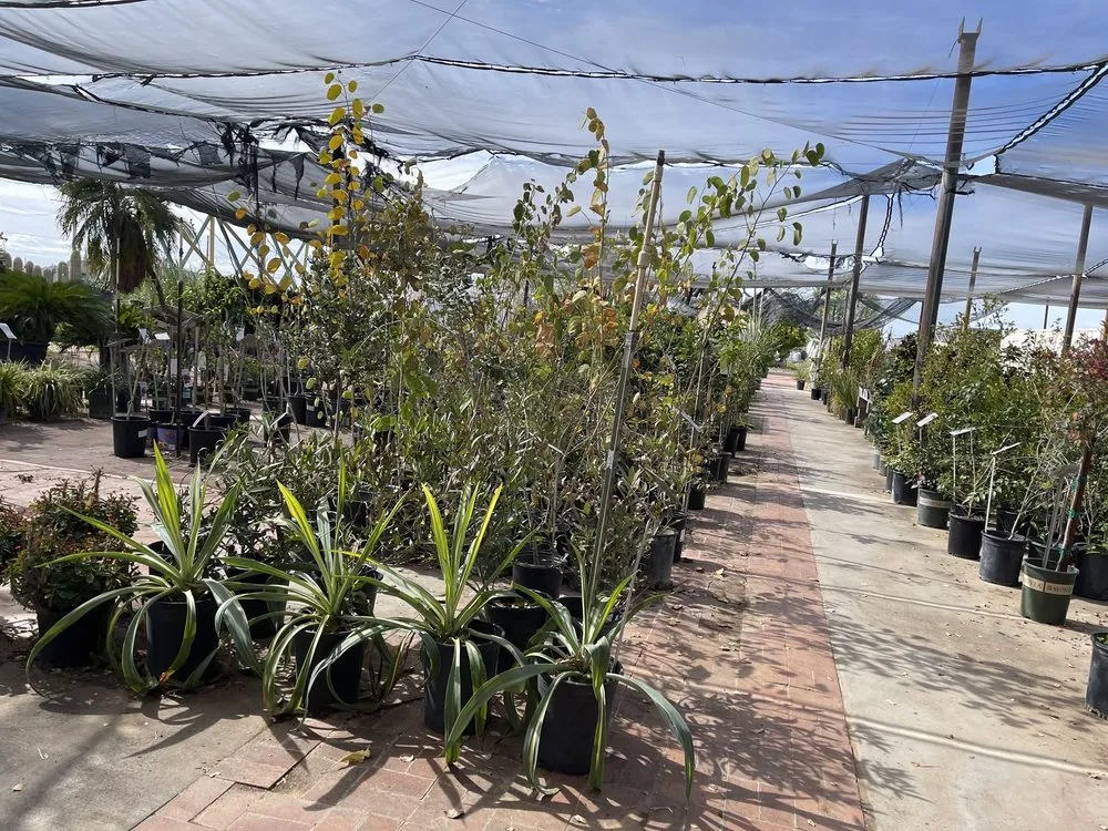 Top-rated yard maintenance in Phoenix, AZ - Richards Garden Center