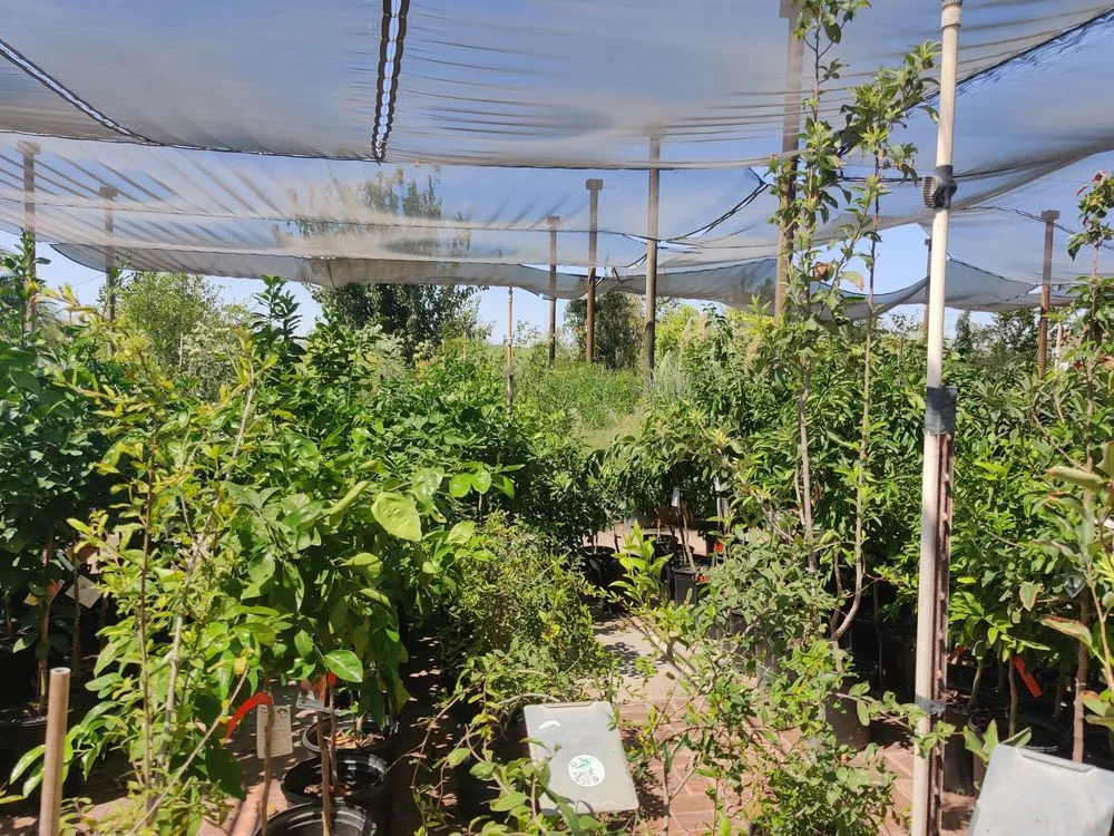 Reliable landscape design in Phoenix, AZ - Richards Garden Center