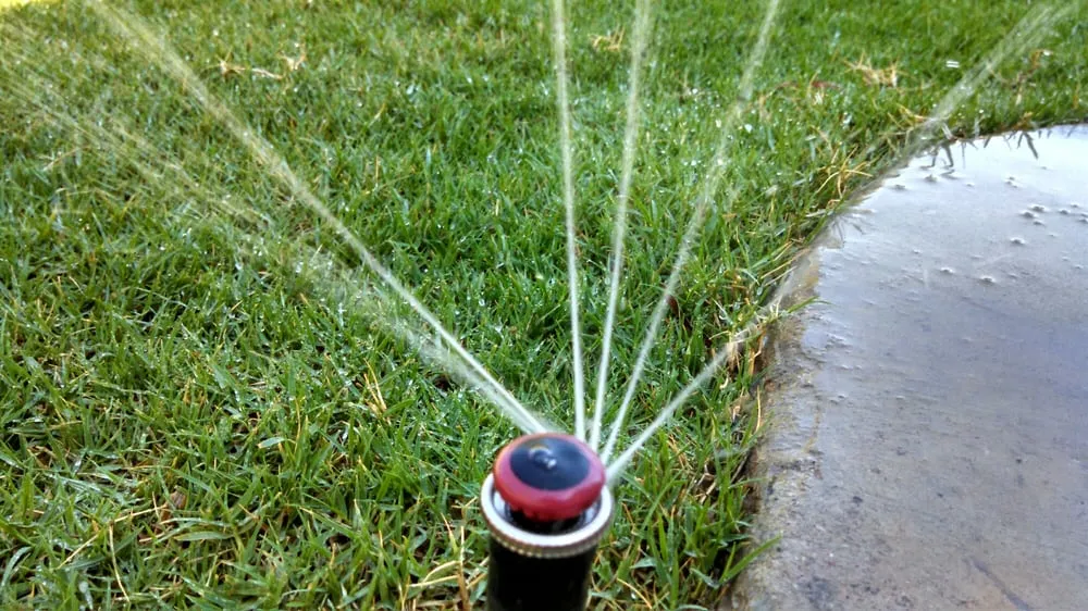 Affordable residential landscaping in Phoenix, AZ by Richards Garden Center