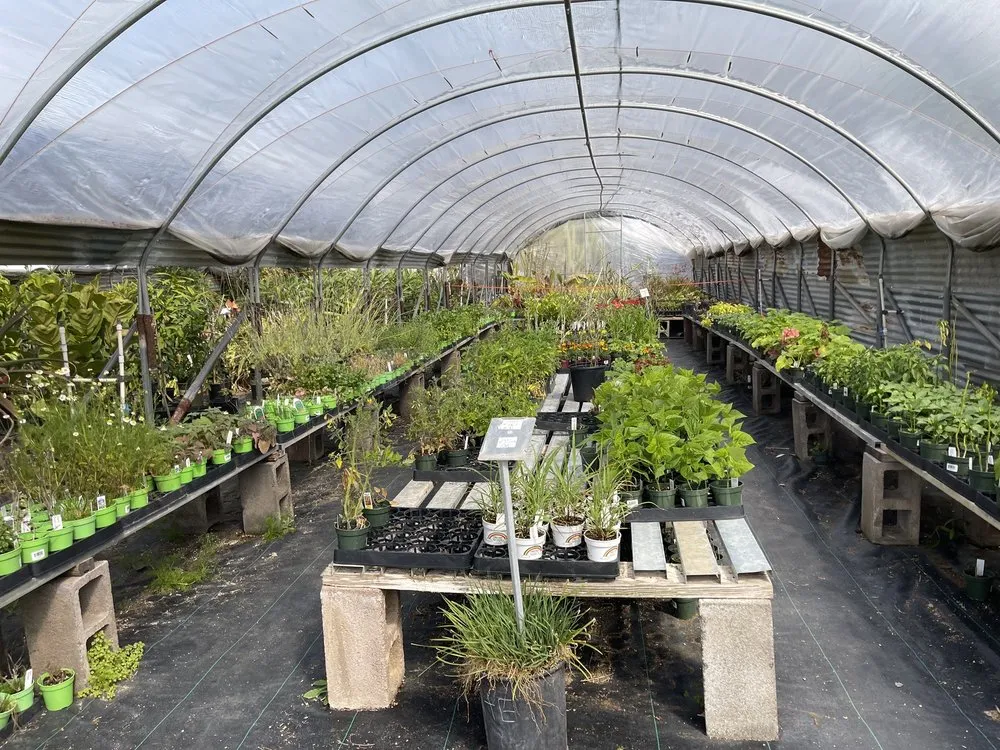 Custom lawn care service experts serving Phoenix, AZ - Richards Garden Center