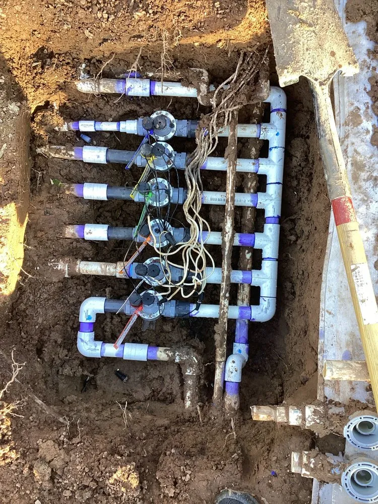 Professional outdoor landscaping for homes in Phoenix, AZ by Richards Garden Center