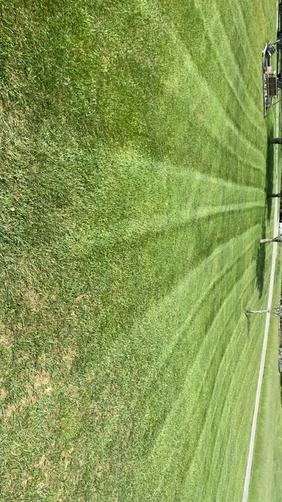 Trusted lawn care service for year-round maintenance across Piney Creek, NC - Richards Grading and Landscaping