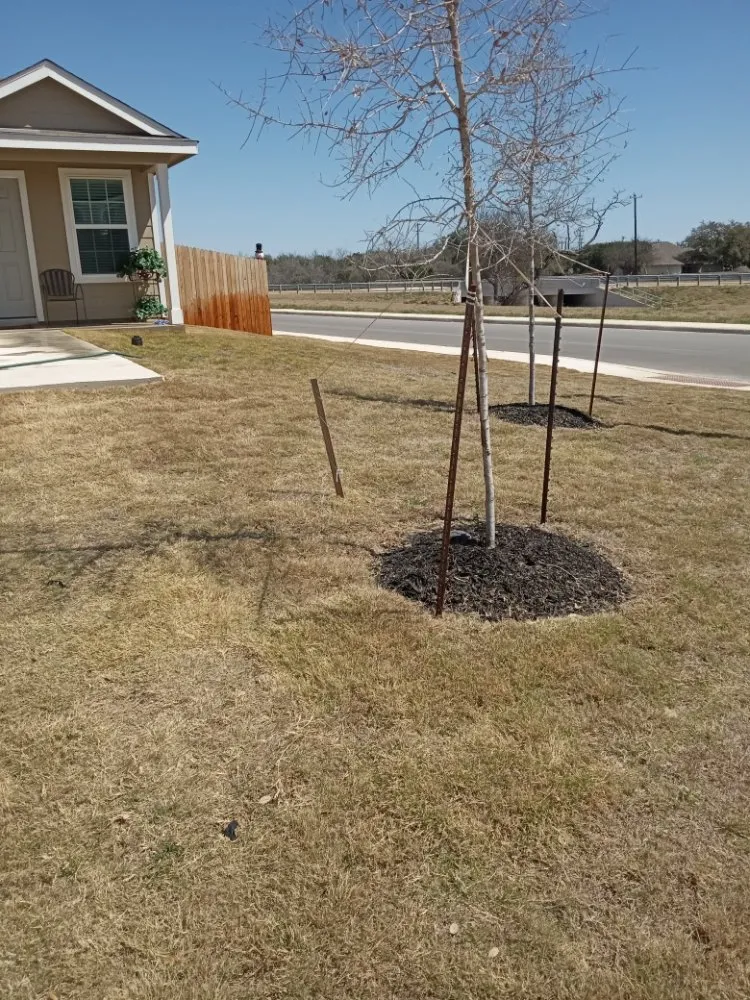 Reliable landscaping services experts serving San Antonio, TX - Richards Happy Lawn