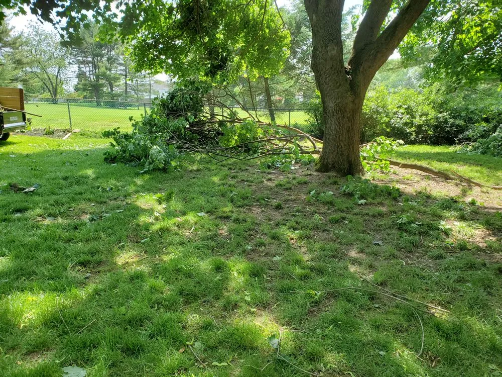 Local garden landscaping for outdoor upgrades across Norristown, PA - Richards Landscaping & Lawn Care