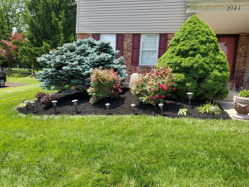 Professional yard cleanup service experts serving Norristown, PA - Richards Landscaping & Lawn Care
