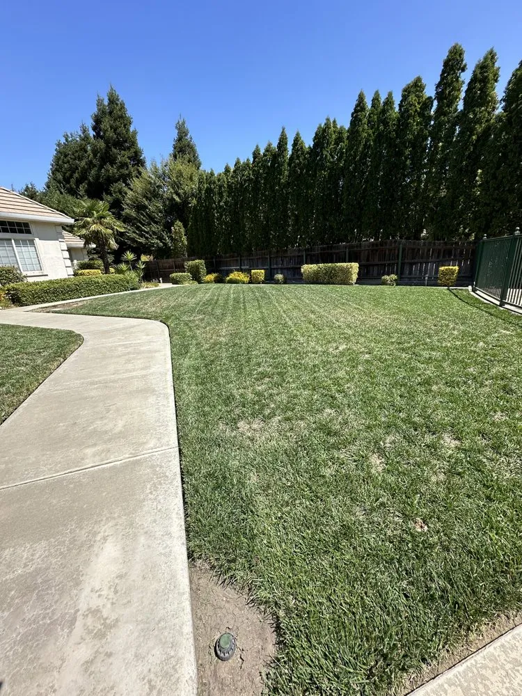 Local yard cleanup service in Stockton, CA by Richard's Landscaping and Maintenance