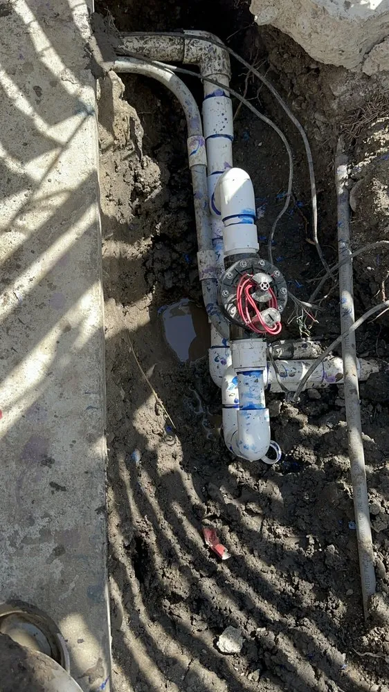 Professional yard cleanup service near you across Stockton, CA - Richard's Landscaping and Maintenance