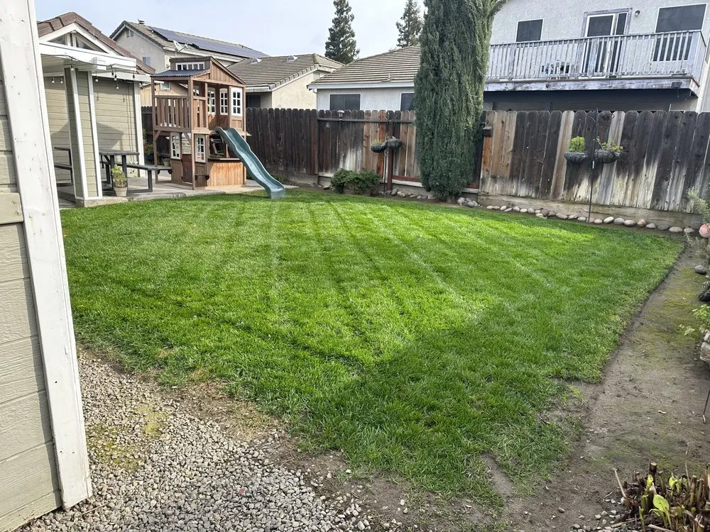 Reliable yard cleanup service in Stockton, CA - Richard's Landscaping and Maintenance